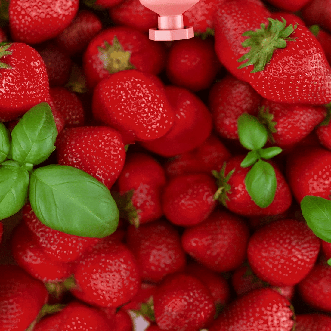 Strawberry Basil n-Ha Toothpaste: a fluoride-free option for those seeking fresh, natural flavor.