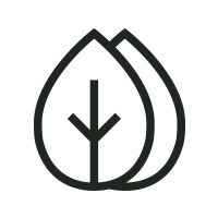 Icon of a leaf with a central stem on a white background
