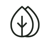 Icon of two leaves with a central stem on a white background